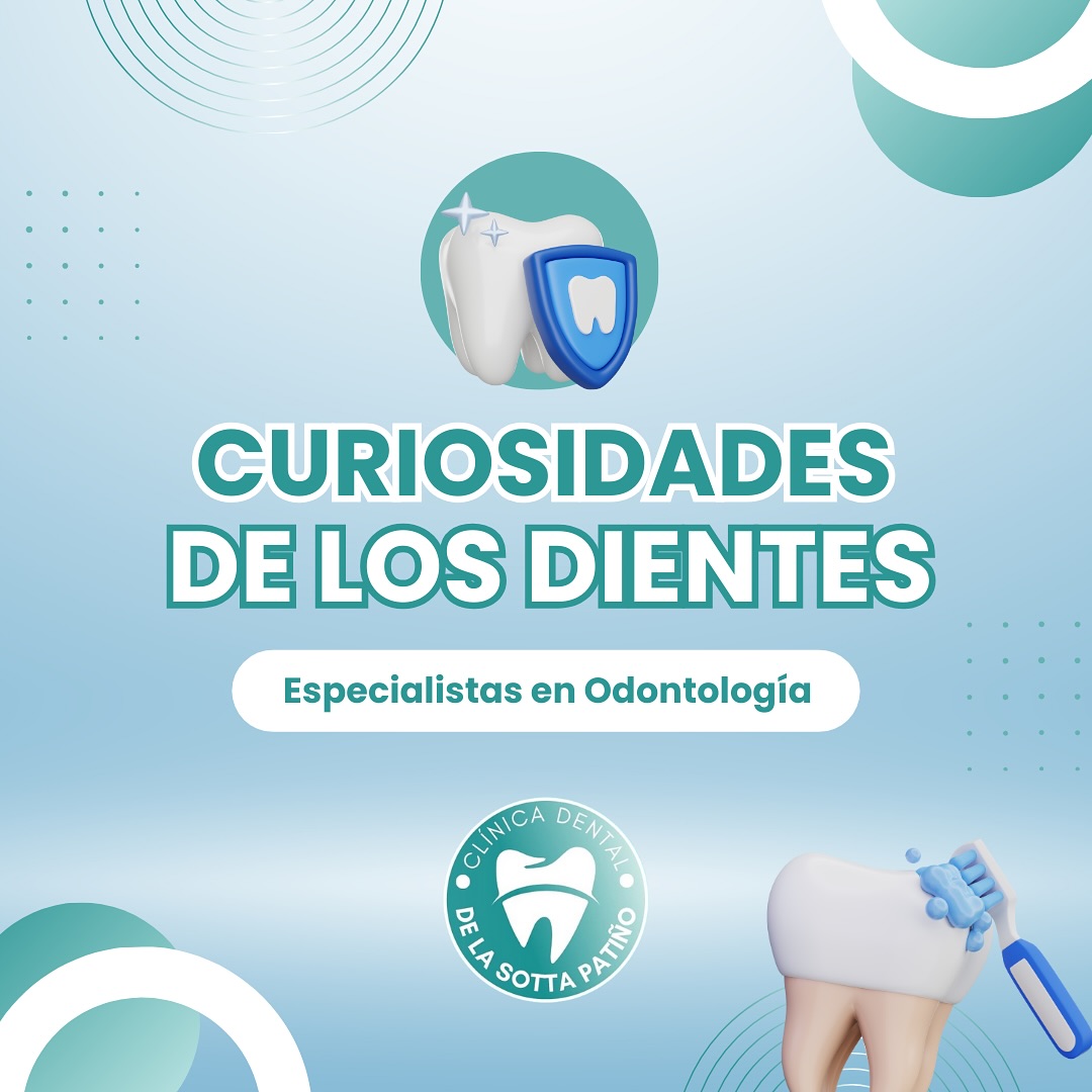 Gráfica educativa de la clínica con una muela y un cepillo de dientes